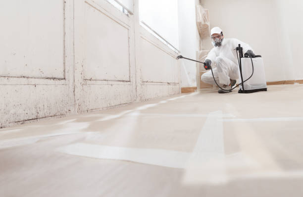 24/7 Emergency Mold Removal experts in Abingdon, VA